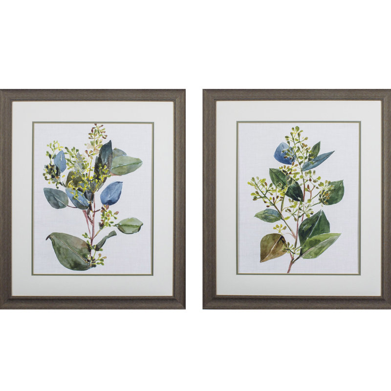 EUCALYPTUS SEEDED S / 2