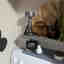 Customer photo 3 of 3