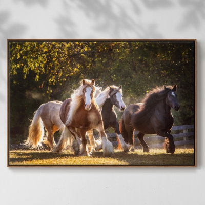 " Sunlit Horses III "
