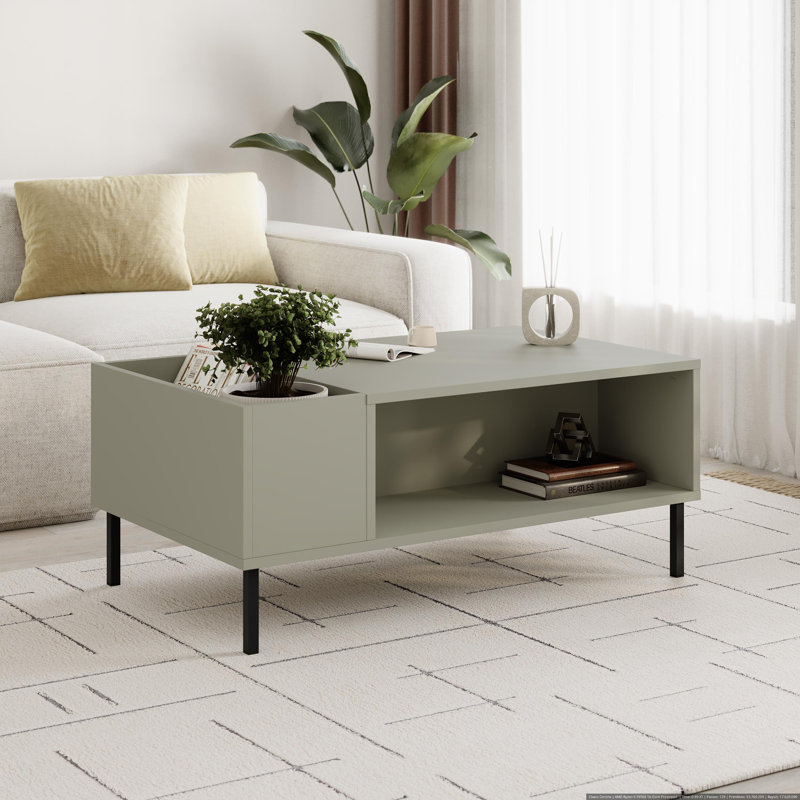 Coffee Table with Storage