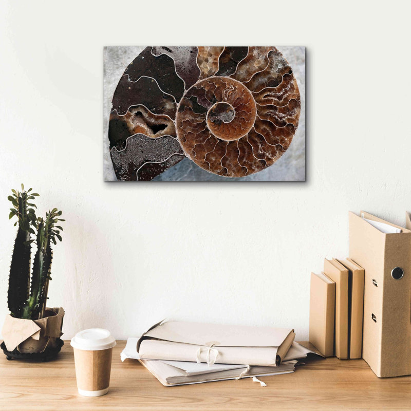 «Ammonite Spiral» par Elena Ray, art mural sur toile, H 12 po x l 18 po x P 0,75 po