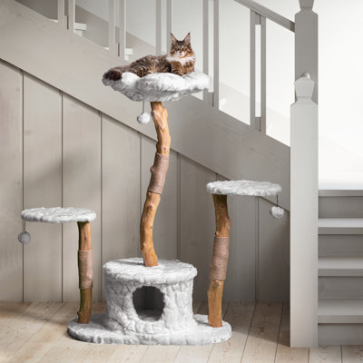 Sedillo 50'' H Cat Tree