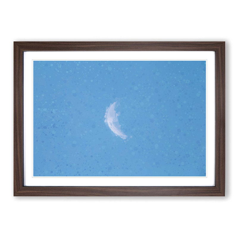 Moon in Morning Light - Picture Frame Graphic Art Print, 27cm H x 36cm W x 2cm D, Walnut Framed