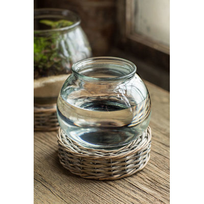 Terrarium à mèche et à verre Blevens