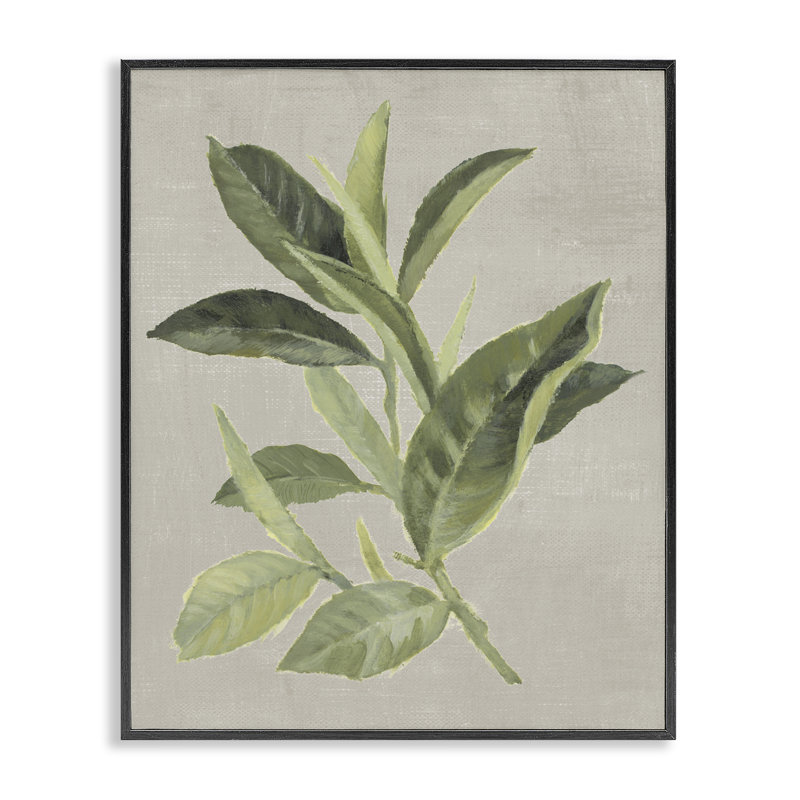 Giclée de feuilles de thé vert, conception de Lanie Loreth, H 14 po x l 11 po, Giclée encadrée noir minuit