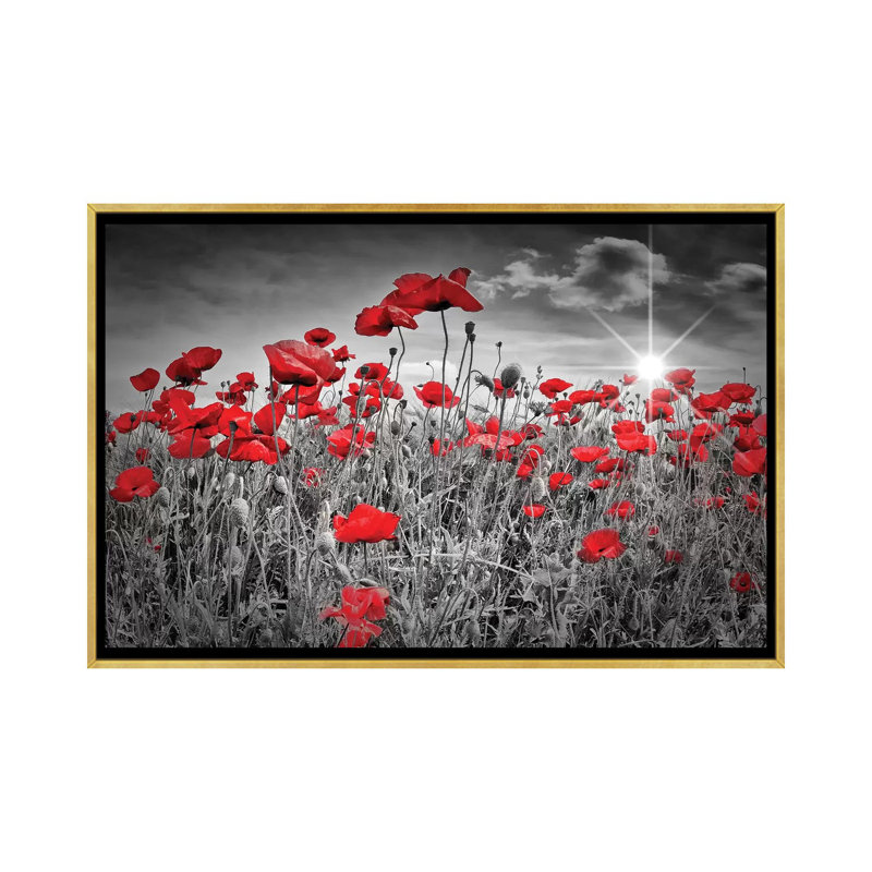"Champ de coquelicots" par Melanie Viola-impression d’art graphique, H 40 po x l 60 po x P 1,5 po, Toile encadrée d'or