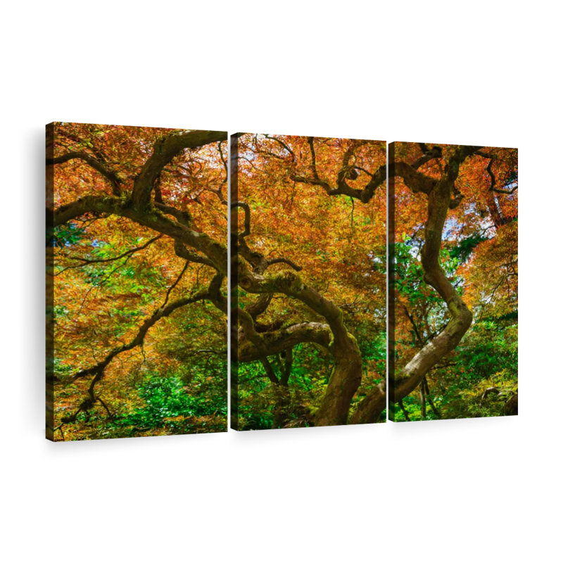 Nature " Mossy Maple Tree " 3 - Pieces, 24" H x 38" W x 1.25" D
