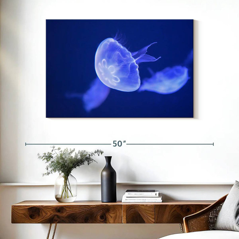 Crowle Sea Moon Jellyfish, H 26 po x l 39 po