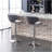 Masaccio Velvet Upholstered Adjustable Swivel Barstool, Set Of 2, Gray