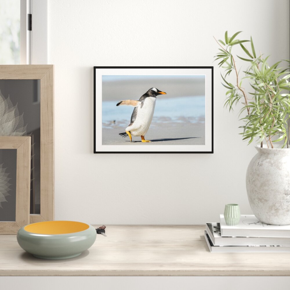 Gerahmtes Poster Pinguin am Strand