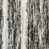 Gris anthracite