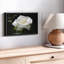 Impression sur toile Dewdrops On White Rose-102858802