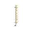 Michelle Heated Towel Rail in Two Tones-1702469471-1702469536