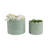 Weeda Decorative Planters Ceramic And Stoneware With Textured Scallop Design And Curved Rim Detailing Set Of 2-899253803-899253801