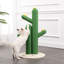 Elyzabel Scratching Post
