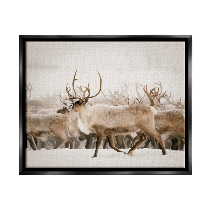 «Elk Herd Snowy Winter Scene Floater» par Krista Broadway, H 17 po x l 21 po x P 1,7 po, Cadre flottant noir de jais