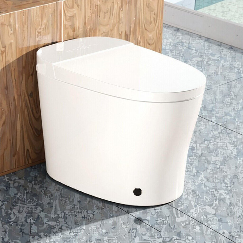 Smart One-Piece Toilet With Bidet, Heated Seat, Auto Open/Close & Led Display, White