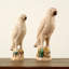 Approx. 10 Inches High Creamy White Glazed Parrot Medium-328414975
