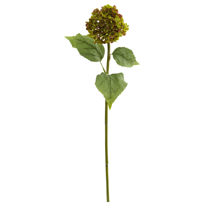 Hydrangea Arrangement, Green