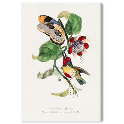 Reproduction d'art sur toile, cadre noir, Barbet élégant