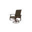 Belle Isle Sling Aluminum Frame Dining Height Swivel Rocker with Marine Grade Polymer Arm Accent-1423646800-1423646812