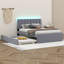 Merthie Full Size Upholstered Platform Bed with Trundle-916249874