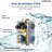 Wall Mount 12" Dual Rainfall Shower Faucet System with 6" Rain Head, Hand Shower & Thermostatic Valve-103352445