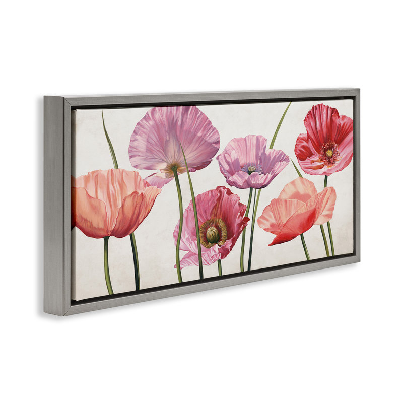 Mélange de coquelicots aux pétales éclatants, Cadre flottant gris lustré, H 11 po x l 25 po