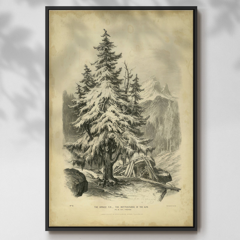 The Spruce, reproduction d'art sur toile, Cadre flottant noir, H 25 po x l 17 po x P 1,5 po