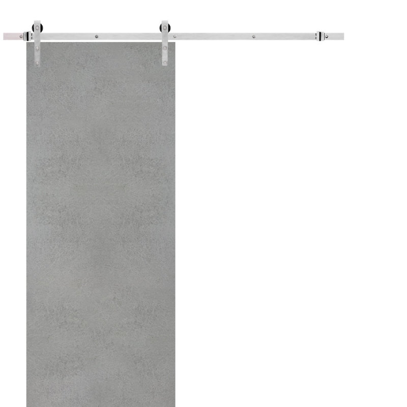 Sturdy Barn Door With Hardware | Planum 0010 Chocolate Ash | 6.6FT Rail Hangers Heavy Set | Modern Solid Panel Interior Doors-30" X 84"-Silver Rail
