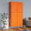 Organisateur de garde-robe pour garde-robe en acier