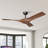 Jenell 52" 3 - Blade Propeller Ceiling Fan With Remote Control-2146514320