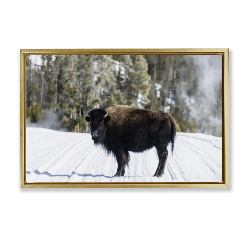 «Bison on Snowy Track», art mural sur toile flottante, design par PIDDIX, H 17 po x l 25 po, Cadre flottant métallique doré