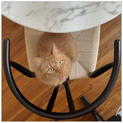 Tabouret de comptoir Wishbone