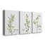 Fresh Sprig Persil - reproduction sur toile tendue-1727210322