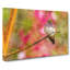 Hummingbird Painting - Wrapped Canvas-56661478