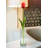 Aakifah Glass Table Vase