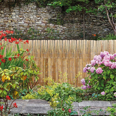 Tan Bamboo/Reed Fencing
