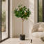 Faux Plant in Pot Liner-1832967096