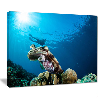 « broadclub cuttlefish subaquatique », reproduction de photo sur toile tendue