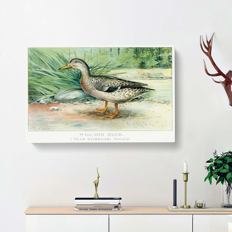 A Mallard Duck by J.L. Ridgway - Wrapped Canvas Painting, 40cm H x 60cm W x 3cm D