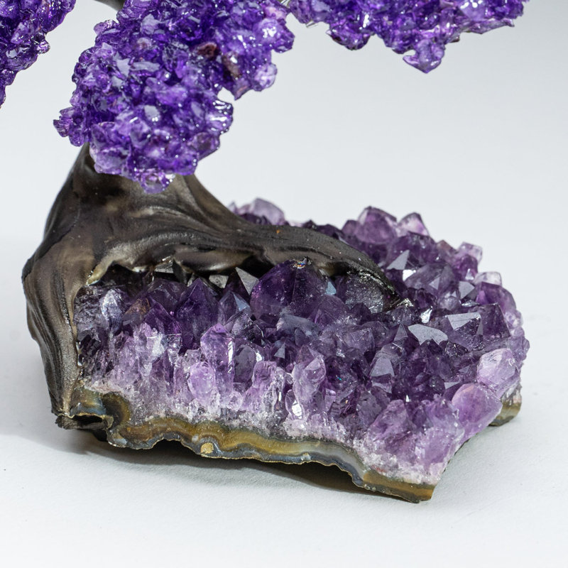 Small Amethyst Clustered Gemstone Tree on Amethyst Matrix (The Protection Tree)