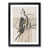 Black Framed selected