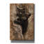 Art mural sur toile Millwood Pines «Curious Cubs» par Collin Bogle-1506659038