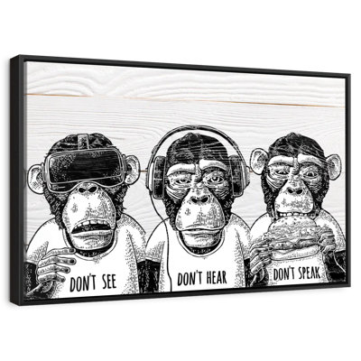 Cool Monkeys