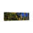 Aspen Trees With Mountains In The Background - Wrapped Canvas Panoramic Print-1445390411
