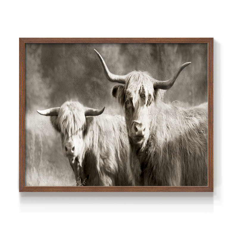 Sepia Hairy Highland -Framed Print - Restickable, Walnut, 16" H x 20" W