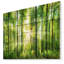 «Forest with Rays of Sun Panorama», photographie-1213741112-1213741115