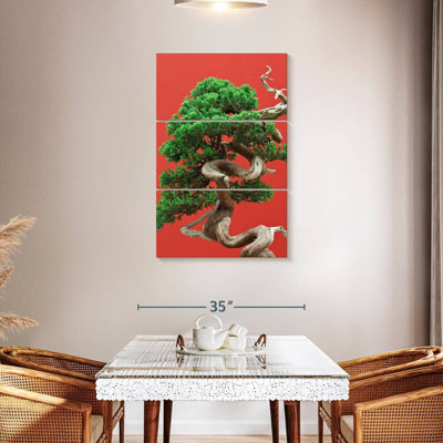 Bonsai Harnek Juniper