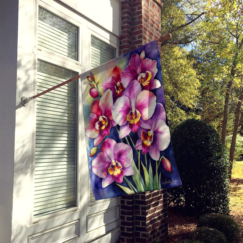 House Flag, Miltoniopsis Orchids